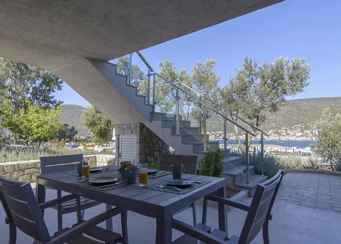 Lavender Cove Kórfos