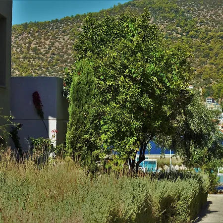 Ξενοδοχείο με διαμερίσματα Lavender Cove Κόρφος